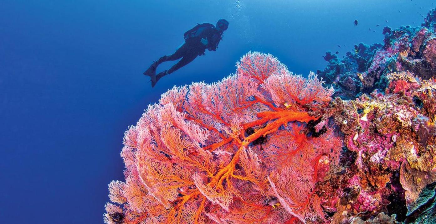 Pulau Unauna Pristine Paradise Dive Resort - Togean Islands, Una Una מראה חיצוני תמונה